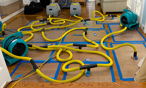 Professional Water Damage Restoration technician working in Bettsville, OH